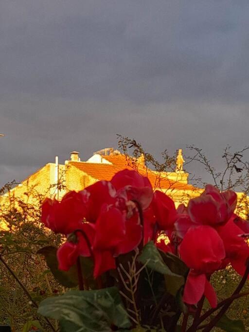Vila At The Foot Of Acropolis. Atény Exteriér fotografie